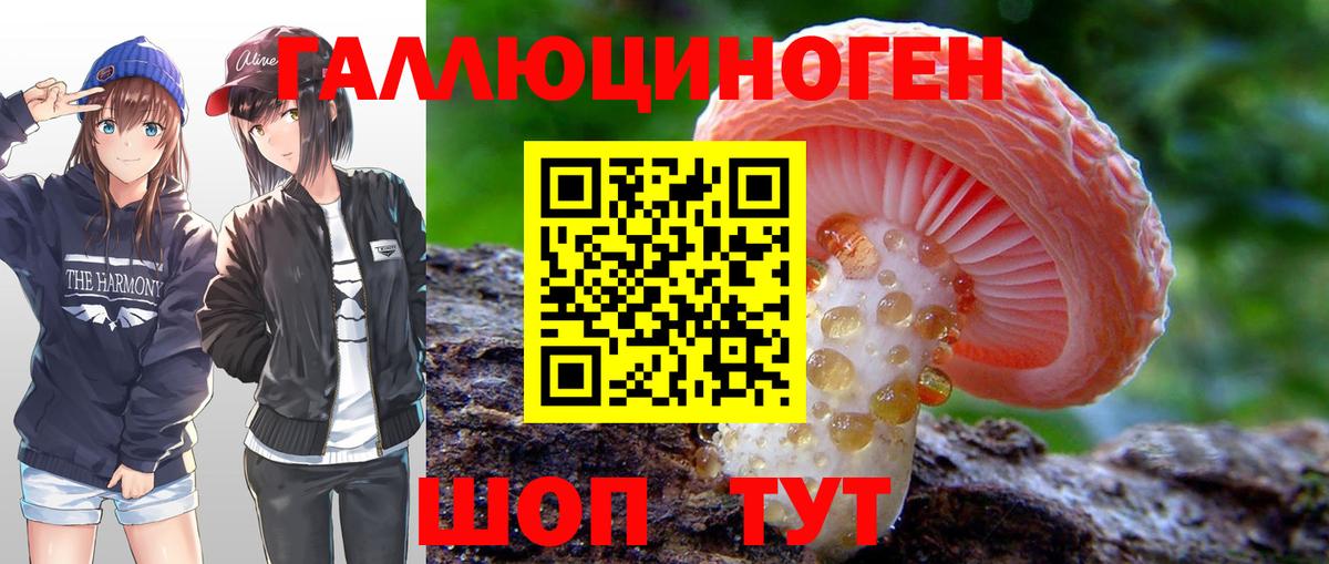 Псилоцибиновые грибы мухоморы Канск