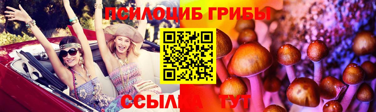 Галлюциногенные грибы мицелий  Вход с VPN  Канск  как найти   Псилоцибиновые грибы мухоморы 